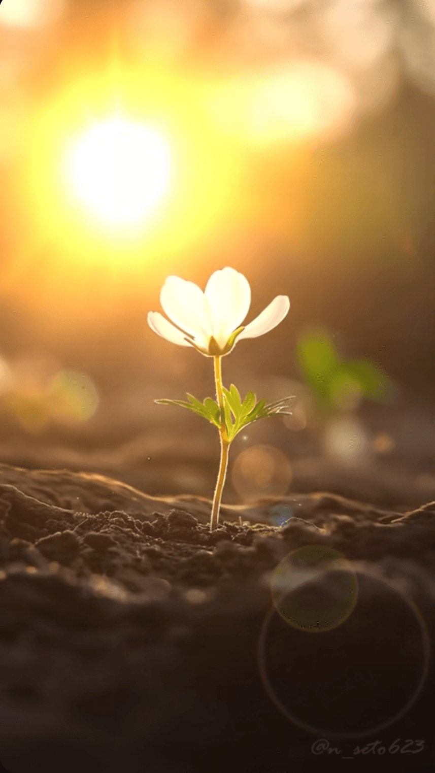 SMARA: TENTANG TUNAS CINTA YANG TUMBUH HINGGA MENJADI RIMBA KERINDUAN (BAGIAN 1)